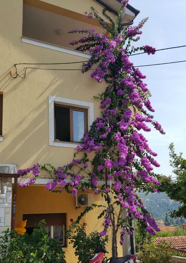 Apartmán Apatmani Milena Opatija Exteriér fotografie